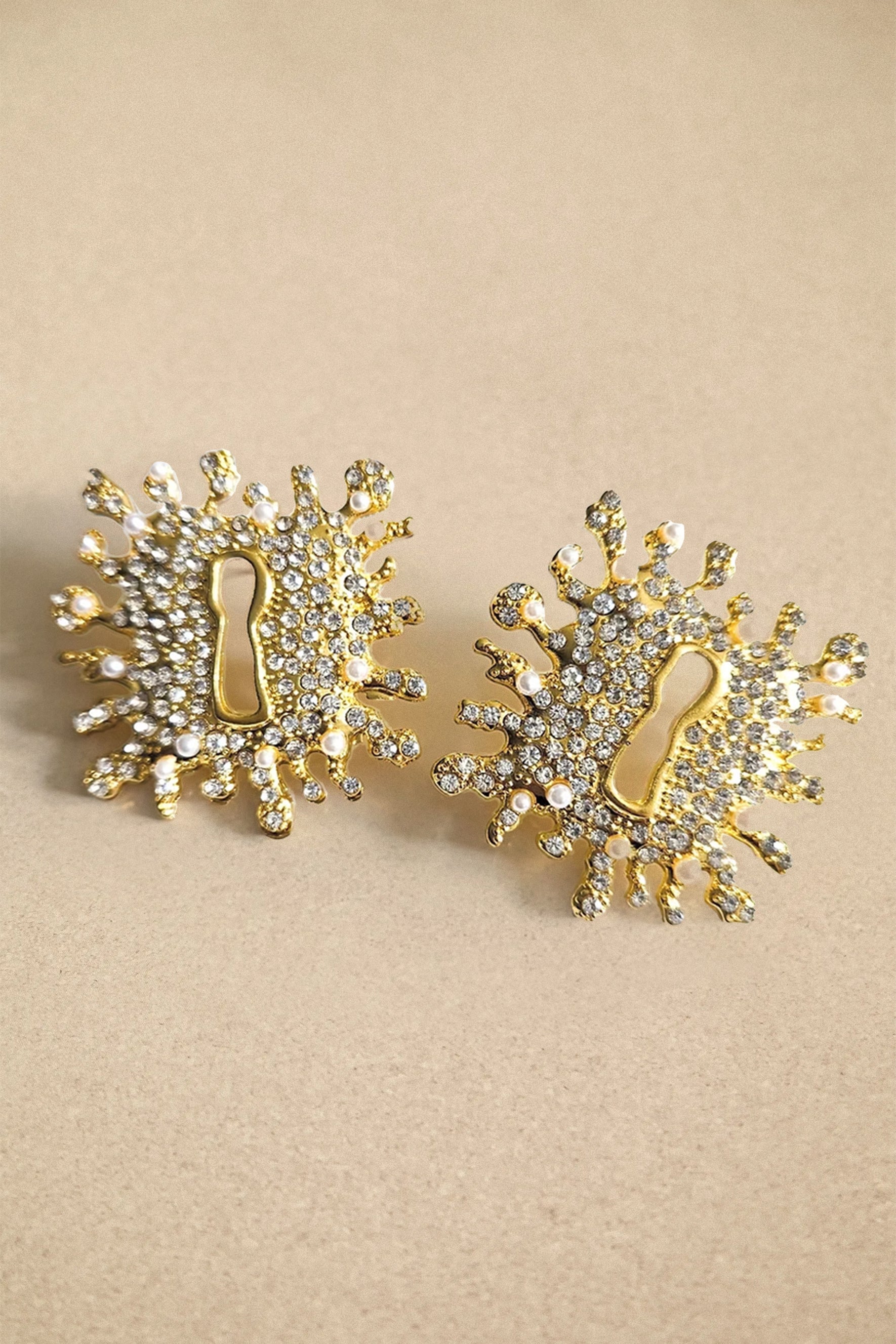 Crystal Embellished Keyhole Earrings